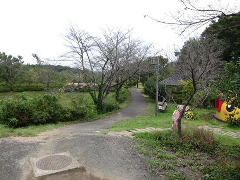 20191017hike (206)